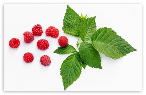 Organic, Raspberries, Fruits, Green Leaves, White Background UltraHD Wallpaper for UHD 16:9 ; HD 16:9 ; UltraWide 21:9 24:10 32:9 32:10 ; Widescreen 16:10 5:3 ; Fullscreen 4:3 5:4 3:2 ; Dual 16:10 5:3 16:9 4:3 5:4 3:2 ;