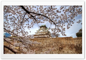 Osaka Castle Sakura Ultra HD Wallpaper for 4K UHD Widescreen desktop, tablet & smartphone