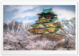 Osaka Castle Spring Ultra HD Wallpaper for 4K UHD Widescreen desktop, tablet & smartphone