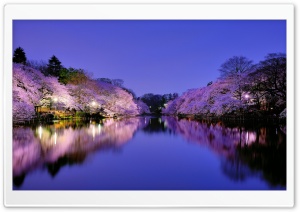 Osaka, Japan Ultra HD Wallpaper for 4K UHD Widescreen desktop, tablet & smartphone