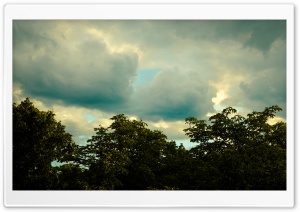 Overcast Sky and Tree Line 4K UHD Wallpaper for Widescreen and UltraWide Desktop, UltraHD TV, Smartphone, Tablet