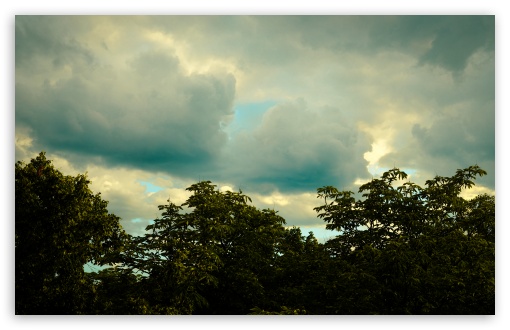 Overcast Sky and Tree Line UltraHD Wallpaper for UHD 16:9 ; HD 16:9 ; UltraWide 21:9 24:10 ; Widescreen 16:10 5:3 ; Fullscreen 4:3 5:4 3:2 ; Tablet 1:1 ; Mobile 9:16 9:19.5 9:20 9:21 9:22 10:16 2:3 3:5 3:4 ;