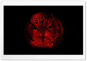 Owl Pumpkin Carving Ultra HD Wallpaper for 4K UHD Widescreen desktop, tablet & smartphone