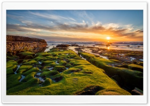Pacific Ocean Green Rocks Ultra HD Wallpaper for 4K UHD Widescreen desktop, tablet & smartphone
