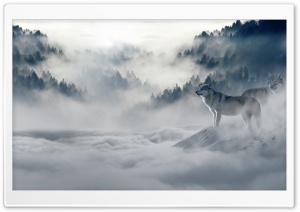 Pack of Wolves Ultra HD Wallpaper for 4K UHD Widescreen desktop, tablet & smartphone