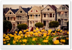 Painted Ladies, San Francisco Ultra HD Wallpaper for 4K UHD Widescreen desktop, tablet & smartphone