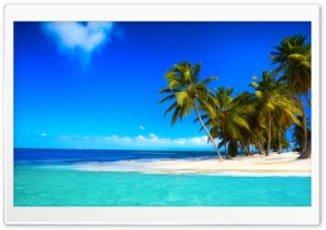 Palm Beach Corner Ultra HD Wallpaper for 4K UHD Widescreen desktop, tablet & smartphone