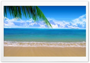 Palm Branch Ultra HD Wallpaper for 4K UHD Widescreen desktop, tablet & smartphone