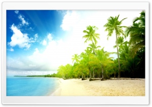 Palm Trees Beach Ultra HD Wallpaper for 4K UHD Widescreen desktop, tablet & smartphone