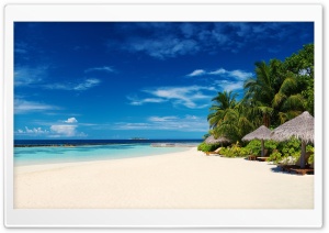 Palm Trees On Ocean Coast Ultra HD Wallpaper for 4K UHD Widescreen desktop, tablet & smartphone