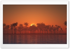 Palm Trees, Orange Sunset, Summer, Tropical, Sea 4K UHD Wallpaper for Widescreen and UltraWide Desktop, UltraHD TV, Smartphone, Tablet