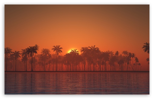 Palm Trees, Orange Sunset, Summer, Tropical, Sea UltraHD Wallpaper for UHD 16:9 ; HD 16:9 ; UltraWide 21:9 24:10 32:9 32:10 ; Widescreen 16:10 5:3 ; Fullscreen 4:3 5:4 3:2 ; Tablet 1:1 ; Mobile 9:16 9:19.5 9:20 10:16 2:3 3:5 3:4 ; Dual 16:10 5:3 16:9 4:3 5:4 3:2 ;