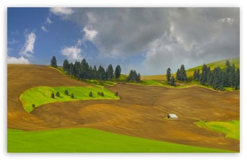 Palouse Hills, America UltraHD Wallpaper for UHD 16:9 ; HD 16:9 ; UltraWide 21:9 24:10 32:9 32:10 ; Widescreen 16:10 ; Fullscreen 3:2 ; Tablet 1:1 ; Mobile 9:16 9:19.5 9:20 9:21 9:22 ; Dual 16:10 16:9 ;