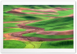 Palouse Hills From Steptoe Butte Washington Ultra HD Wallpaper for 4K UHD Widescreen desktop, tablet & smartphone