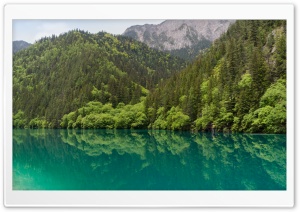 Panda Lake, Jiuzhaigou, Sichuan, China 4K UHD Wallpaper for Widescreen and UltraWide Desktop, UltraHD TV, Smartphone, Tablet