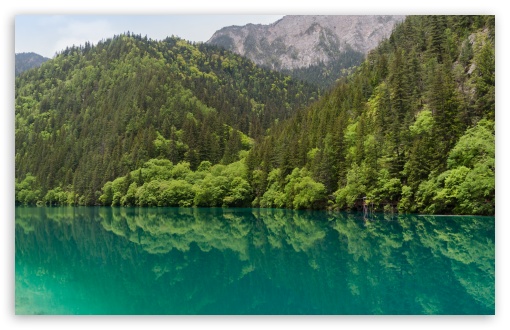 Panda Lake, Jiuzhaigou, Sichuan, China UltraHD Wallpaper for HD 16:9 ; UltraWide 21:9 24:10 ; Widescreen 16:10 5:3 ; Fullscreen 4:3 5:4 3:2 ; Tablet 1:1 ; Mobile 9:16 9:19.5 9:20 10:16 2:3 3:5 3:4 ;