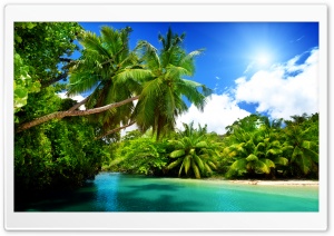 Paradise Found 4K UHD Wallpaper for Widescreen and UltraWide Desktop, UltraHD TV, Smartphone, Tablet