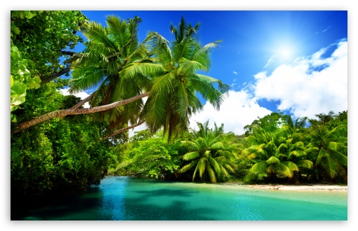 Paradise Found 4K UHD Wallpaper for Widescreen and UltraWide Desktop, UltraHD TV, Smartphone, Tablet Paradise Found UltraHD Wallpaper for UHD 16:9 ; HD 16:9 ; UltraWide 21:9 24:10 ; Widescreen 16:10 5:3 ; Fullscreen 4:3 5:4 3:2 ; Tablet 1:1 ; Mobile 9:16 9:19.5 9:20 9:21 9:22 10:16 2:3 3:5 3:4 ;