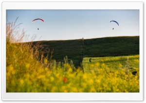 Paragliders In The Air Ultra HD Wallpaper for 4K UHD Widescreen desktop, tablet & smartphone