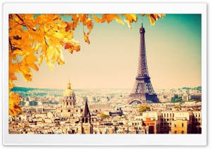 Paris - Autumn tree Ultra HD Wallpaper for 4K UHD Widescreen desktop, tablet & smartphone