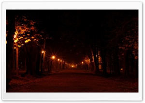 Park At Night Ultra HD Wallpaper for 4K UHD Widescreen desktop, tablet & smartphone