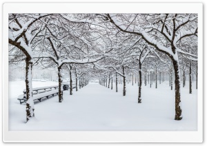 Park in Winter 4K UHD Wallpaper for Widescreen and UltraWide Desktop, UltraHD TV, Smartphone, Tablet