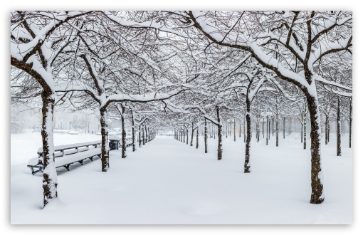 Park in Winter UltraHD Wallpaper for UHD 16:9 ; HD 16:9 ; UltraWide 21:9 24:10 32:9 32:10 ; Widescreen 16:10 5:3 ; Fullscreen 4:3 3:2 ; Tablet 1:1 ; Mobile 9:16 9:19.5 9:20 9:21 9:22 10:16 2:3 3:5 3:4 ; Dual 16:10 5:3 16:9 4:3 5:4 3:2 ;