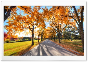 Park Landscape, Autumn Ultra HD Wallpaper for 4K UHD Widescreen desktop, tablet & smartphone