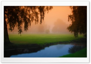 Park Morning Fog Ultra HD Wallpaper for 4K UHD Widescreen desktop, tablet & smartphone