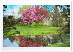 Park, Spring Ultra HD Wallpaper for 4K UHD Widescreen desktop, tablet & smartphone