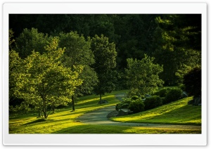 Park, Summer Ultra HD Wallpaper for 4K UHD Widescreen desktop, tablet & smartphone