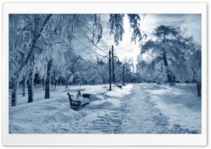Park Under Snow Bench Ultra HD Wallpaper for 4K UHD Widescreen desktop, tablet & smartphone