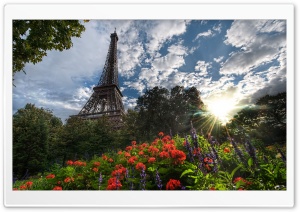 Park View Of Eiffel Tower Ultra HD Wallpaper for 4K UHD Widescreen desktop, tablet & smartphone