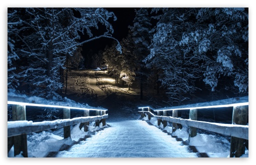 Park Winter Night UltraHD Wallpaper for Widescreen 16:10 ;