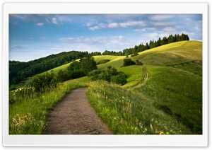 Path Hill Ultra HD Wallpaper for 4K UHD Widescreen desktop, tablet & smartphone