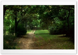 Path in the Park Ultra HD Wallpaper for 4K UHD Widescreen desktop, tablet & smartphone