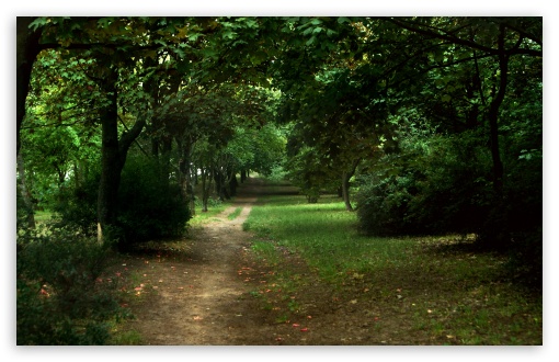 Path in the Park UltraHD Wallpaper for UHD 16:9 2160p 1440p 1080p 900p 720p ; 8K UHD TV 16:9 Ultra High Definition 2160p 1440p 1080p 900p 720p ; Widescreen 16:10 5:3 WHXGA WQXGA WUXGA WXGA WGA ; Fullscreen 4:3 5:4 3:2 UXGA XGA SVGA QSXGA SXGA DVGA HVGA HQVGA ( Apple PowerBook G4 iPhone 4 3G 3GS iPod Touch ) ; Tablet 1:1 ; Mobile 9:16 2:3 3:5 3:4 - ;