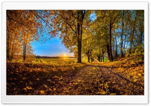 Pathway, Autumn Ultra HD Wallpaper for 4K UHD Widescreen desktop, tablet & smartphone