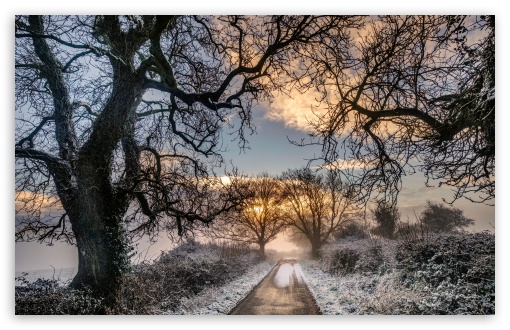 Pathway, Leafless Trees, Winter UltraHD Wallpaper for UHD 16:9 ; HD 16:9 ; UltraWide 21:9 24:10 32:9 32:10 ; Widescreen 16:10 5:3 ; Fullscreen 4:3 5:4 3:2 ; Tablet 1:1 ; Mobile 9:16 9:19.5 9:20 9:21 9:22 10:16 2:3 3:5 3:4 ; Dual 16:10 5:3 16:9 4:3 5:4 3:2 ;