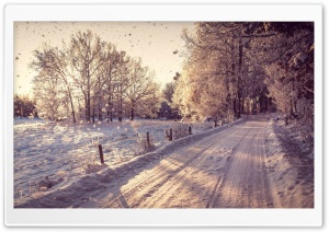 Pathway, Winter Ultra HD Wallpaper for 4K UHD Widescreen desktop, tablet & smartphone