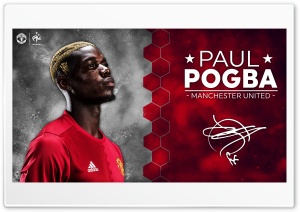 Paul Pogba Manchester United 2016 17 Ultra HD Wallpaper for 4K UHD Widescreen desktop, tablet & smartphone