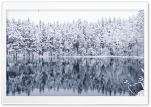 Peaceful Forest Lake Surrounded by Snowy Trees 4K UHD Wallpaper for Widescreen and UltraWide Desktop, UltraHD TV, Smartphone, Tablet