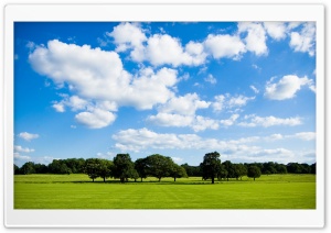 Peaceful Meadow Ultra HD Wallpaper for 4K UHD Widescreen desktop, tablet & smartphone