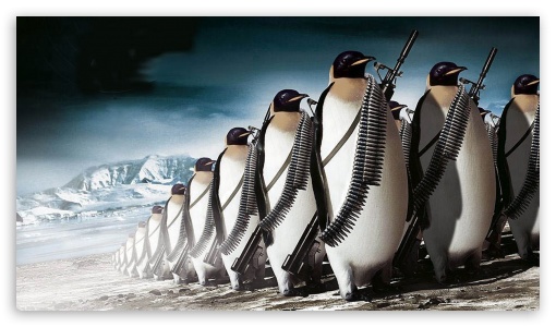 Penguins Army UltraHD Wallpaper for 8K UHD TV 16:9 Ultra High Definition 2160p 1440p 1080p 900p 720p ; Mobile 16:9 - 2160p 1440p 1080p 900p 720p ;