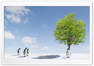 Penguins Group in Antarctica Ultra HD Wallpaper for 4K UHD Widescreen desktop, tablet & smartphone