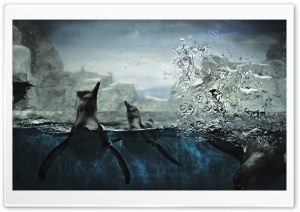 Penguins In Captivity Ultra HD Wallpaper for 4K UHD Widescreen desktop, tablet & smartphone