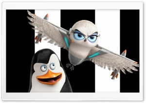 Penguins of Madagascar Kowalski and Eva Ultra HD Wallpaper for 4K UHD Widescreen desktop, tablet & smartphone