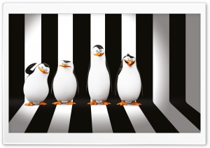 Penguins of Madagascar Movie Ultra HD Wallpaper for 4K UHD Widescreen desktop, tablet & smartphone