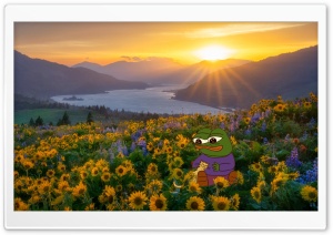 Pepe and His Emotional Support Cat at Sunset 4K UHD Wallpaper for Widescreen and UltraWide Desktop, UltraHD TV, Smartphone, Tablet