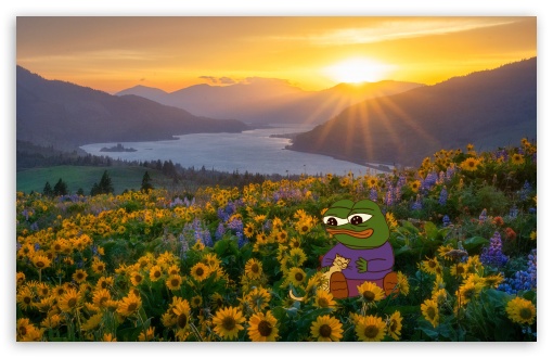 Pepe and His Emotional Support Cat at Sunset UltraHD Wallpaper for UHD 16:9 ; HD 16:9 ; UltraWide 21:9 24:10 32:9 32:10 ; Widescreen 16:10 ; Tablet 1:1 ; Mobile 9:16 9:19.5 9:20 ; Dual 16:10 16:9 ;